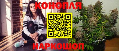 jwh Будённовск